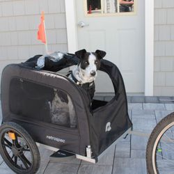 Retrospec Bike Trailer