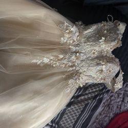 Champagne Color, Size: Extra Small