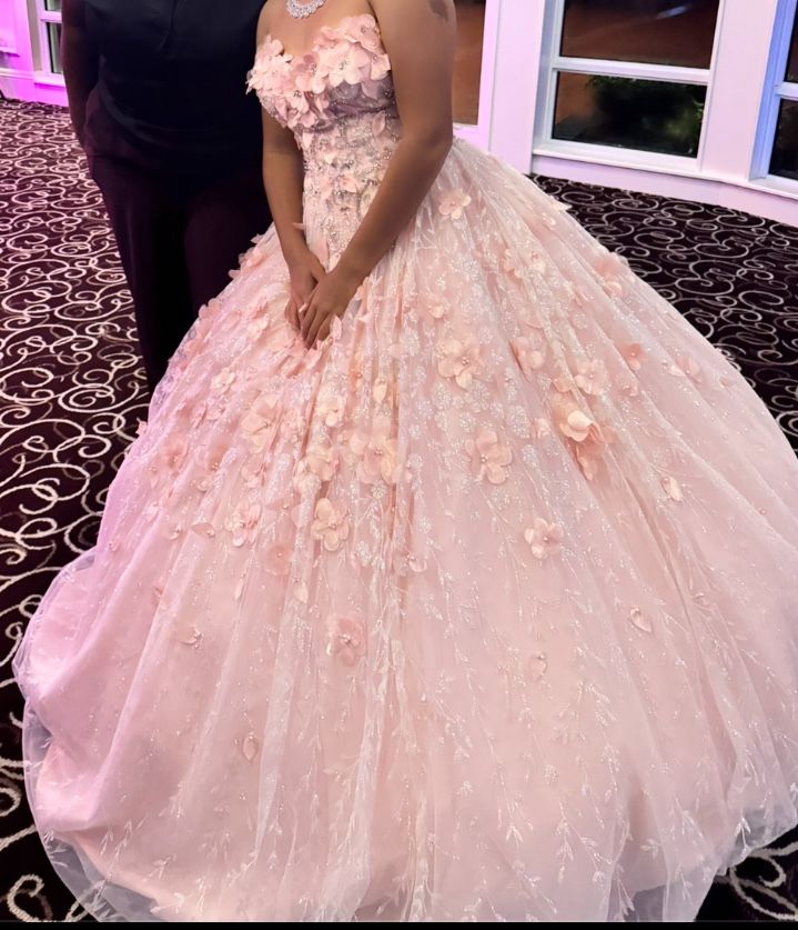 Quincenera Dress with Cap And Hoodie Size  Small