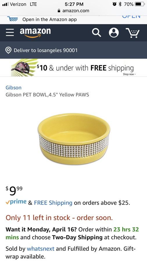 Gibson 4.5 inch Decorative Ceramic Pet Bowls (Pair)