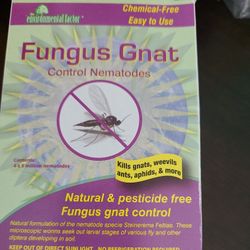 Fungus Gnat N Control Nematodes, 4 Packs of 5 Million Each Chemical-Free 