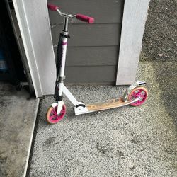 Big Kid’s Scooter LaScoota 