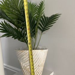 Plant