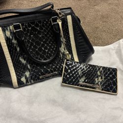 Brahmin purse and Wallet 