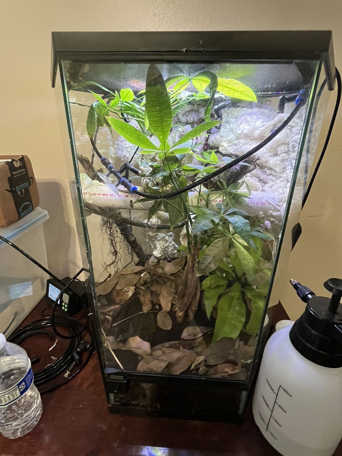 Gecko Vivarium