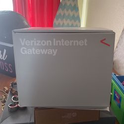 Verizon Internet Gateway