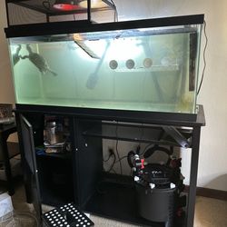 Tank & Stand For Sale 