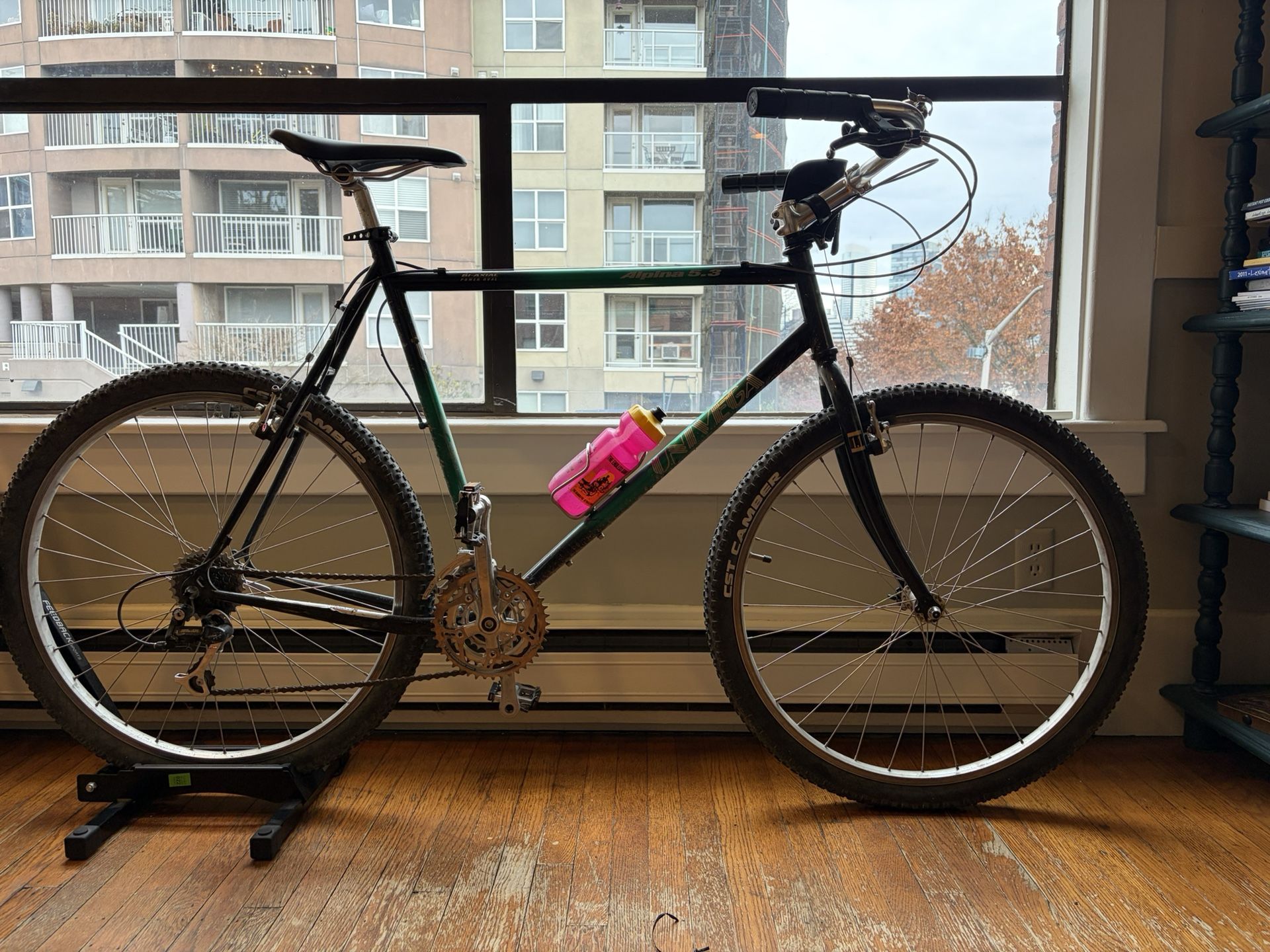 Univega Vintage Mountain Bike  - 22”