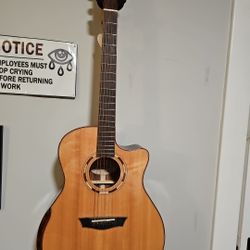 Washburn (Beautiful Condition)