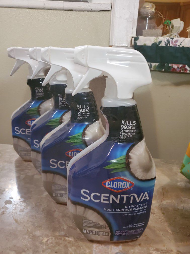 Clorox Disinfecting And Multisurface Cleanser 
