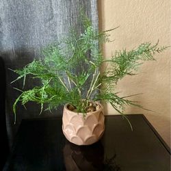 Artificial Asparagus Fern in a Pink Scalloped Ceramic Pot