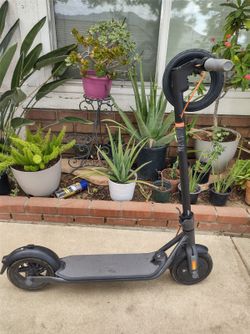 Patin / Scooter