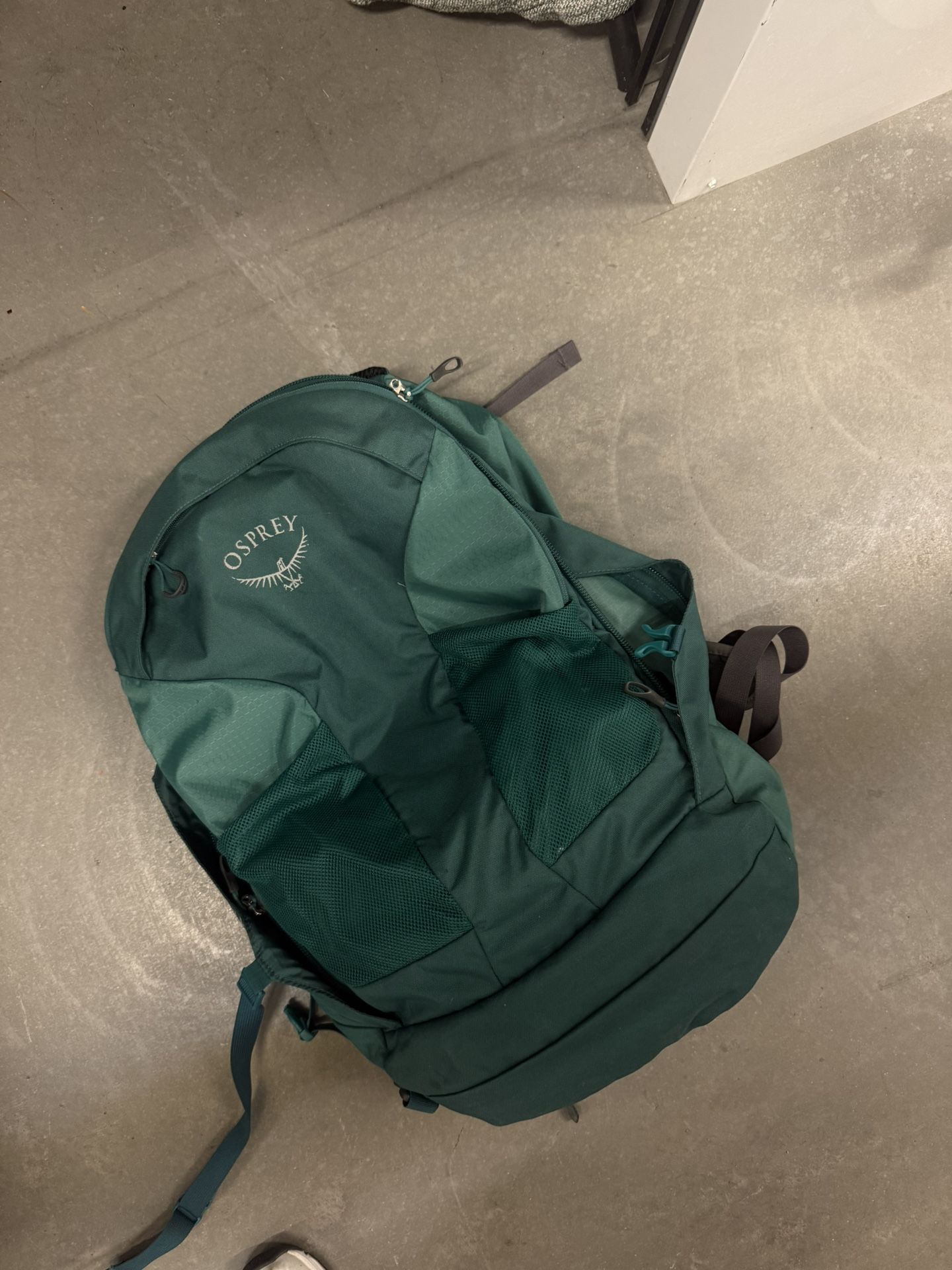 Osprey Backpack