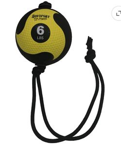 Aeromat 6 LB Medicine Ball with Rope