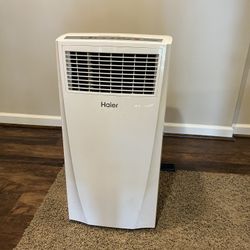 Hair Inside To Window AC Unit