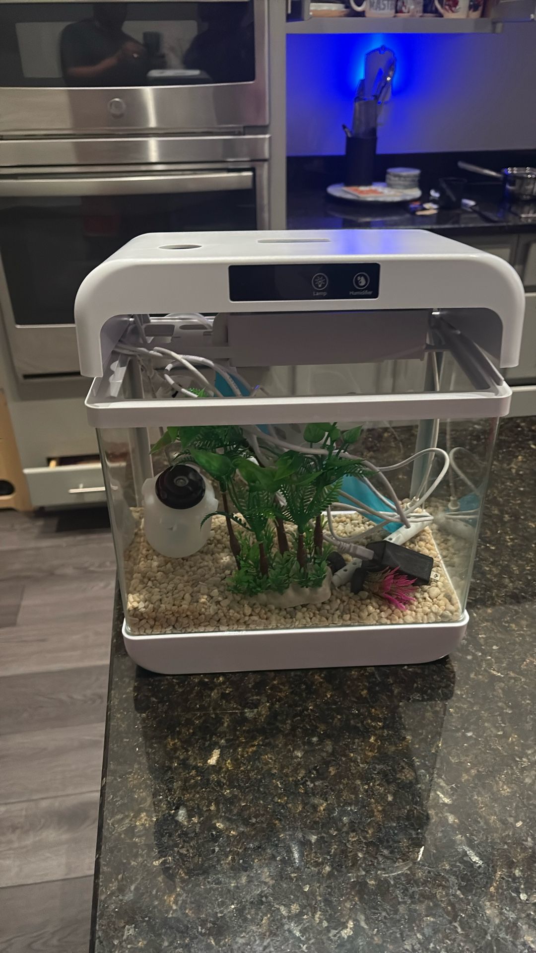 Fish Tank With Humidifier