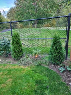 Emerald Green Arborative x 2