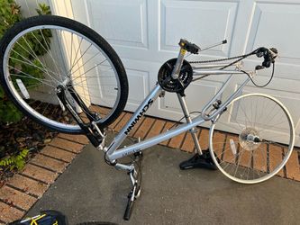 Schwinn aldult