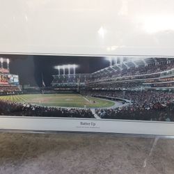 Cleveland Indians Panorama Print
