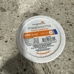 Mealworms 