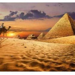CAMEL in the DESERT1000pc EDUCA Super Deluxe Jigsaw Puzzle 19643