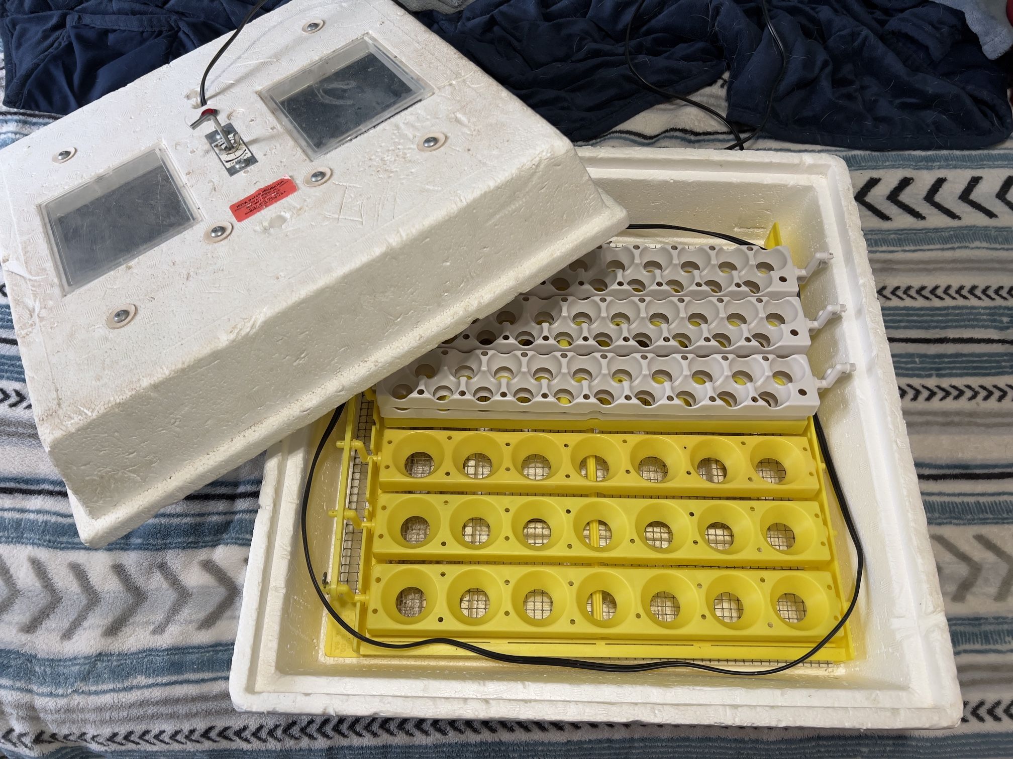 Hovabator incubator with egg turners