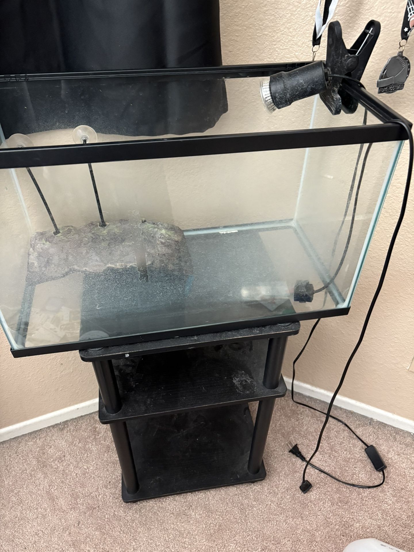 20 Gallon Tank W/turtle Food Stand