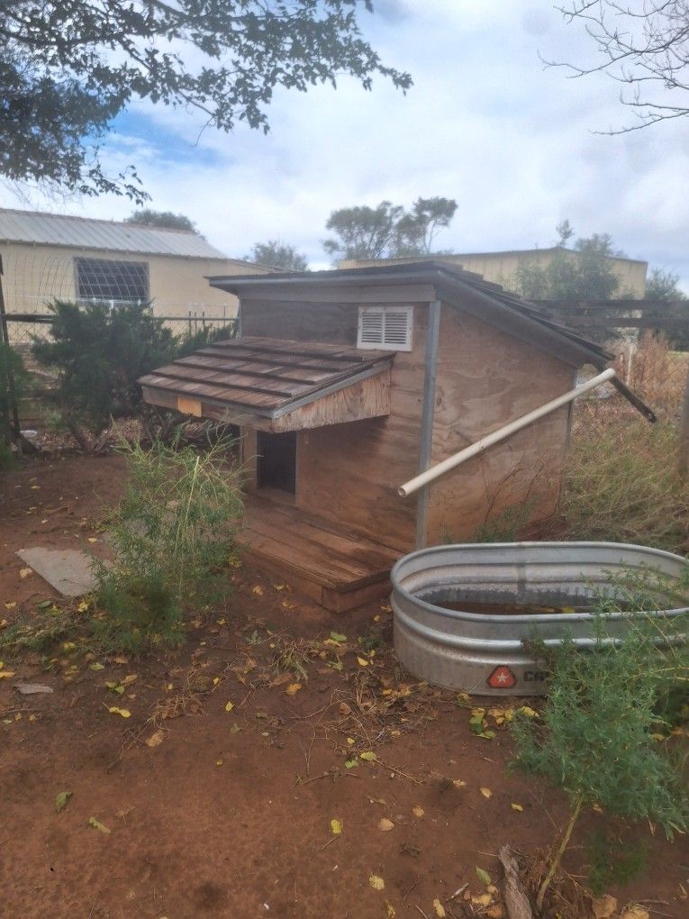 Dog House