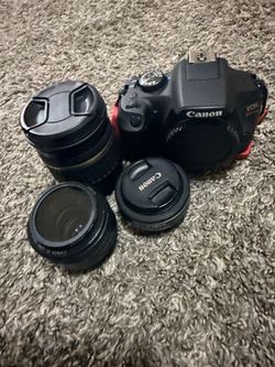 T7 bundle