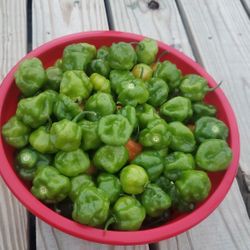 Fresh Organic Hot Peppers..