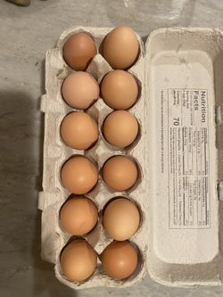 Fresh Organic Eggs