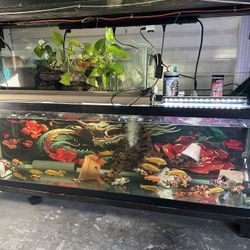 Aquarium 125 Gallons 