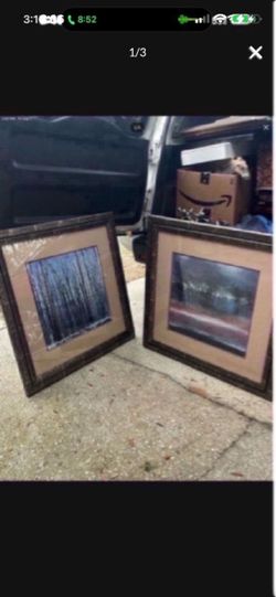 Set of 2 Framed Nature lithograph Prints