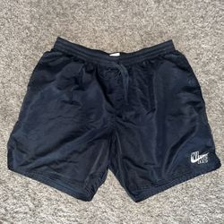 Men Nike Shorts 
