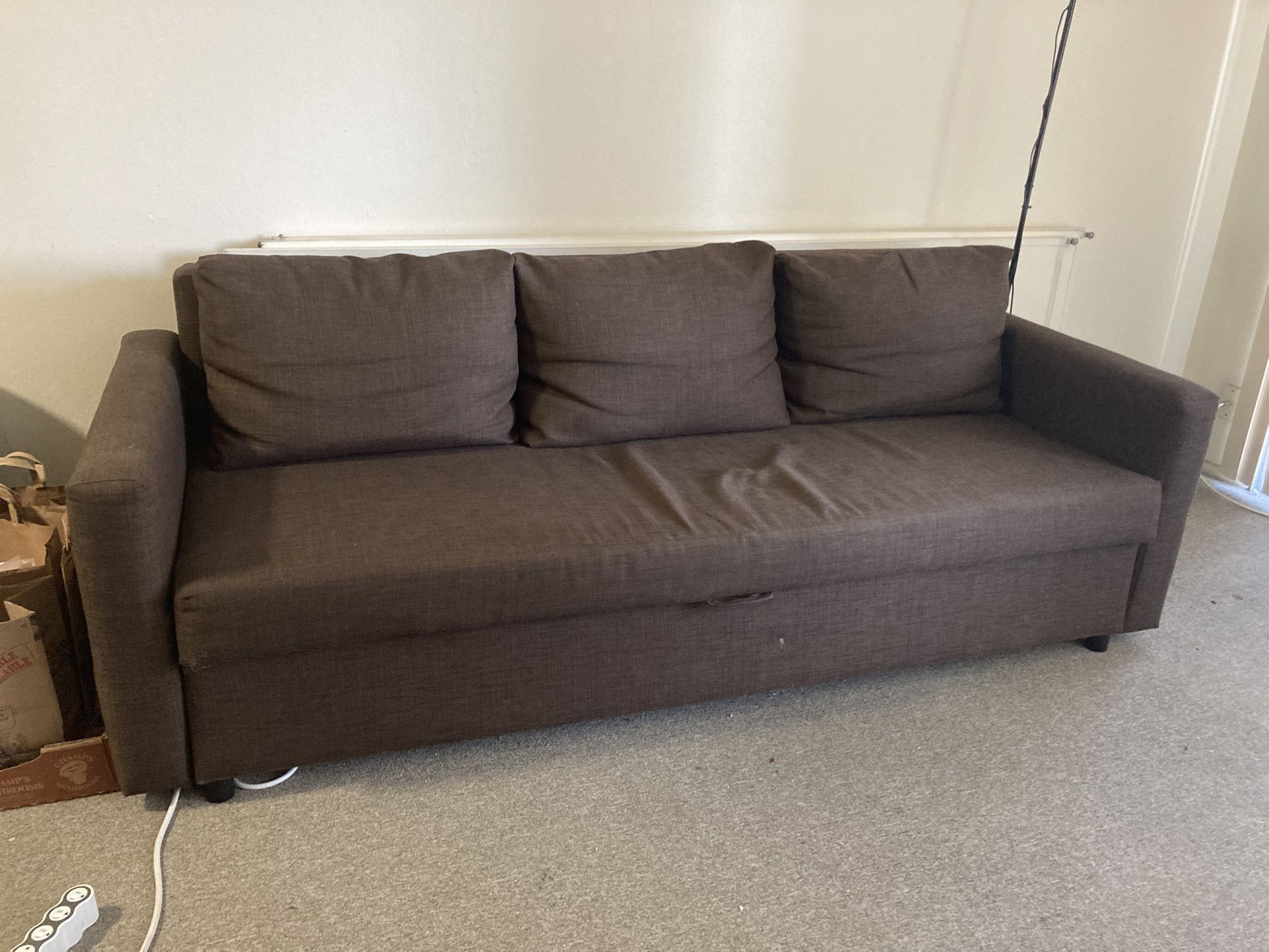 Sofa with Pull-Out Bed