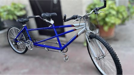 Beautiful Dualie Tandem Cruiser Bike