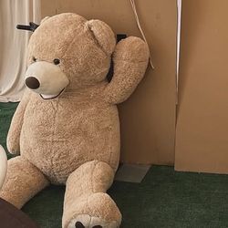 Giant Teddy Bear