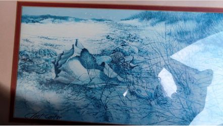 Blue and white seashell print by Clint carter