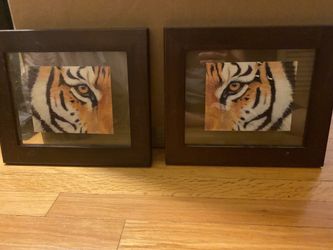 Tiger Eyes Wall Art (Pair)