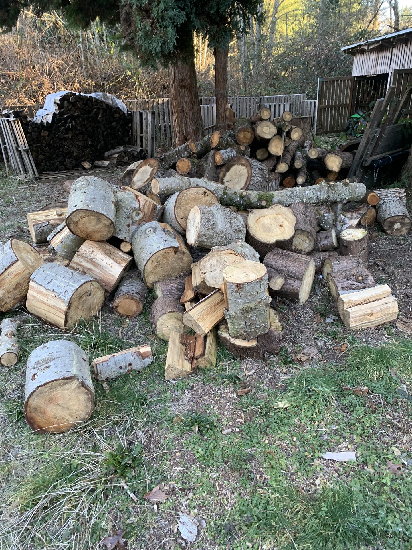 Firewood Rounds/logs