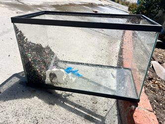 2 Glass Aquarium Fish Tank 1 Hexagon tank and hood light