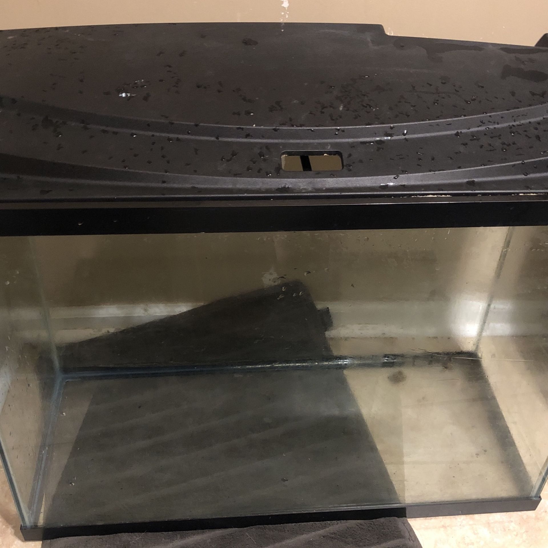 Large Aquarium