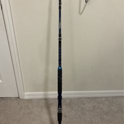 Fishing Rod