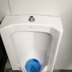 KOHLER URINAL GREAT CONDITION 