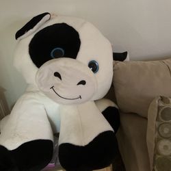 Black , White, She Is The Size Of A Medium Size Dog
