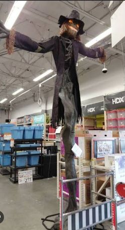 15 FT LED Worricrow