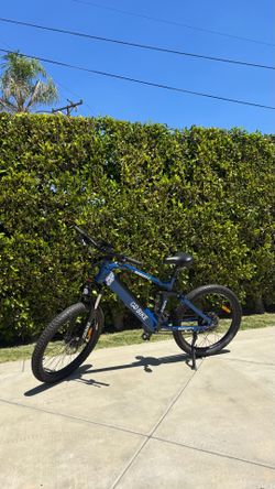 Robusto EBike High End Bike⭐️