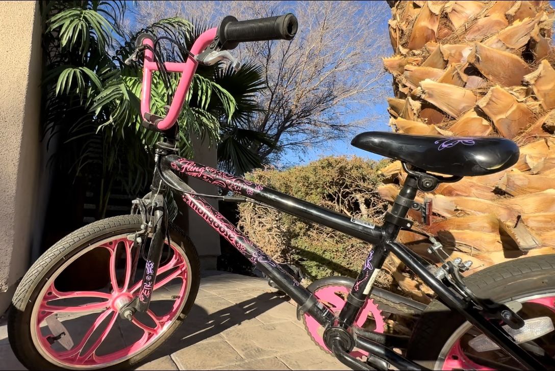 Mongoose 20" Girl's Freestyle BMX Bike Black and Hot Pink