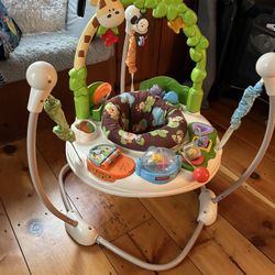 Fisher Price Infant Jumper