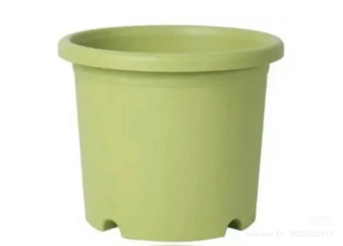 Flower Pot